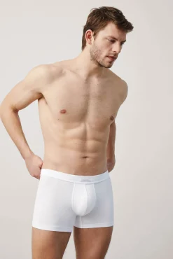 Calzoncillos bóxer básicos<Ysabel Mora Hot