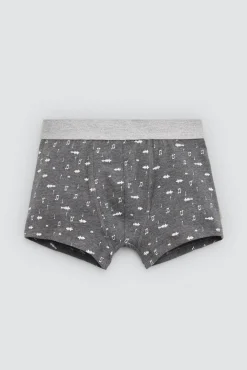 Pack 2 bóxers juveniles algodón estampados Music<Ysabel Mora Hot