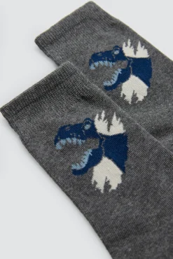 Pack 4 calcetines infantiles estampados Roar<Ysabel Mora Best